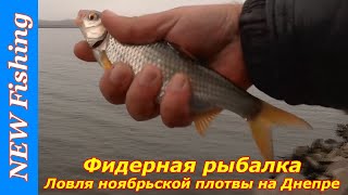 Фидерная рыбалка. Ловля ноябрьской плотвы на Днепре.