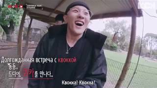 iKON-ON CONTINUE TOUR IN SYDNEY #1 [рус. суб.]