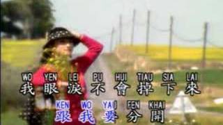 Ching jen te yen lei