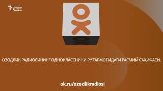 Ўғирланаëтган эшаклар¸ янги Гулнора (Эфир 15.05.2017)