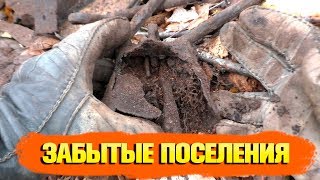 ЗАБЫТЫЕ ПОСЕЛЕНИЯ СКРЫТЫЕ ЛЕСОМ ??