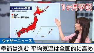 季節は一気に進む 太平洋側は低気圧通過で降水多い傾向(気象庁1か月予報)