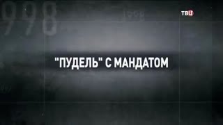 Пудель с мандатом. 90-е