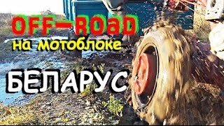OFFROAD на мотоблоке БЕЛАРУС! Деревенская развлекуха)))