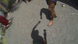 Friendly Day sur le Spot de Bananier en Guadeloupe : Surf et Bodyboard