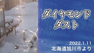 【気象現象アーカイブ】「ダイヤモンドダスト」北海道旭川市／2022.1.11