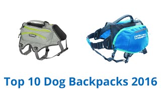 10 Best Dog Backpacks 2016