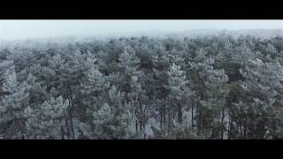 Мелитополь Лесопарк | Melitopol forest park