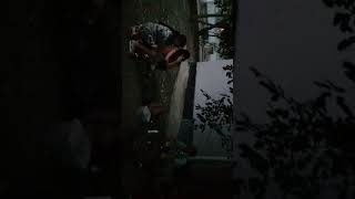 Пьяная компания избивает женщину, выгуливающую  собаку