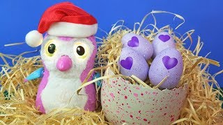 Hatchimals Botou Ovos No Natal Com Tia Fla e Produção