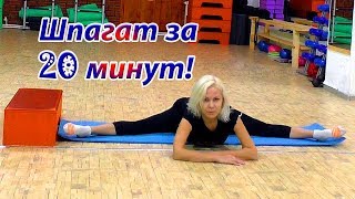 Как сесть на шпагат за 20 минут? Комплекс упражнений. Видео урок. Фитнес студия MIXfit в Балашове