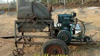 Silage Making in india