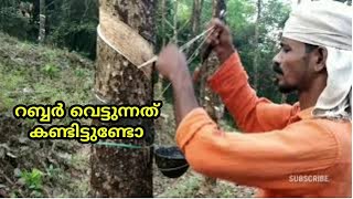 Rubber Taping Vloge Malayalam|Malappuram Fishing|Rubber Sheet Making