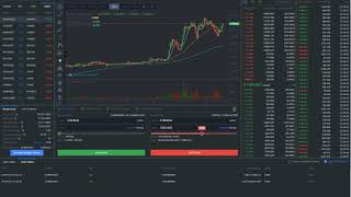 Bitmax Margin kullanımı