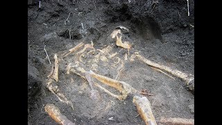 Раскопки в полях Второй Мировой Войны Фильм 33/Excavation in fields of World War II the Film 33