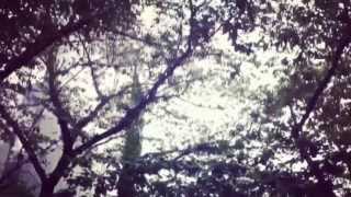 瞑想ウォーキング ３（JUN 11, 2013 14:16 - 15:36）