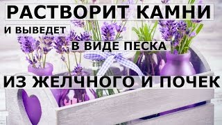 Как растворить большие камни в желчном пузыре и почках.