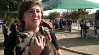 17-Year-Old Syrian Refugee Carries Puppy 300 Miles to Safety