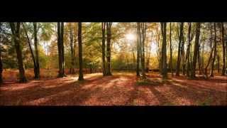 Moby - Natural Blues