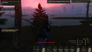 StalkerOnline Болота / Старое