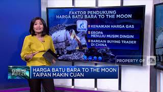 Harga Batu Bara To The Moon Taipan Makin Cuan