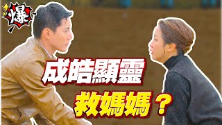 《多情大爆爆》多情城市 EP339 成皓顯靈救媽媽？