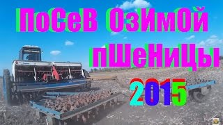Посев озимой пшеницы Одесская 267, МТЗ-82.1, СЗ-3.6 /Sowing of winter wheat Odesa 267