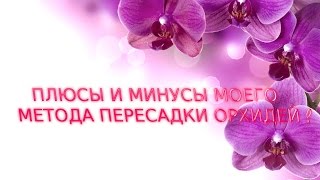 ПЛЮСЫ И МИНУСЫ МОЕГО МЕТОДА ПЕРЕСАДКИ ОРХИДЕЙ !!!