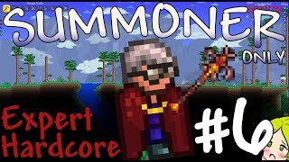 Terraria Expert Hardcore Summoner Only #6