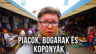 A NAGY BOGÁREVÉS!!! - Ázsia Tour #7 Killing Fields, piactúra és ízeltlábú vacsora