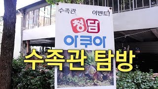 청담아쿠아 수족관 자유 탐방