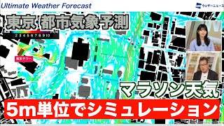 【マラソン天気】5m単位の都市気象予測シミュレーションでみる東京都心の天気と風