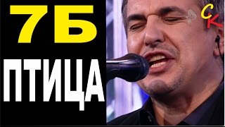 ПТИЦА - 7Б / КАК ИГРАТЬ НА ГИТАРЕ / аккорды бой / кавер