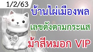 งวด 1/2/63 บ้านไผ่เมืองพล , เลขดังตามกระแส , ม้าสีหมอก VIP งวด 1 กุมภาพันธ์ 2563 [แมวเงิน]