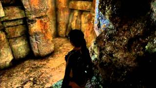 Tomb Raider - Underworld XFX 9400GT