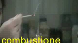 Verifica produzione anidride carbonica