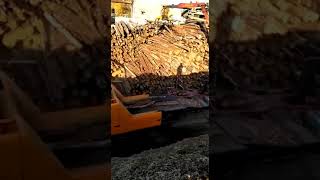 Услуги по дроблению древесины в щепу