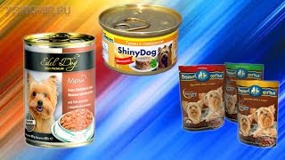 Как выбрать консервы для собаки | Какие лучше.