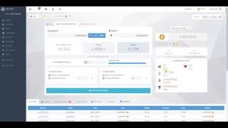 BitSler Secret Success to bitcoin