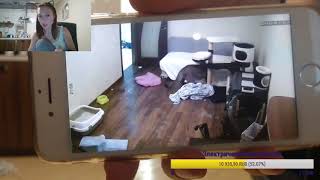 Признание Кати