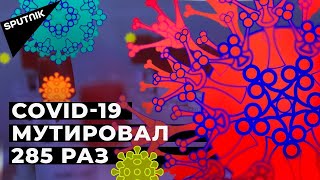 Коронавирус мутирует. Помогут ли уже известные вакцины или нужны новые?