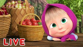 Masha and the Bear ?? LIVE STREAM ?? Cartoon live best episodes ☀️ Маша и Медведь прямой эфир