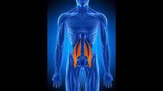 290. LE MUSCLE DE L ÂME ! ET LES DEUX AUTRES