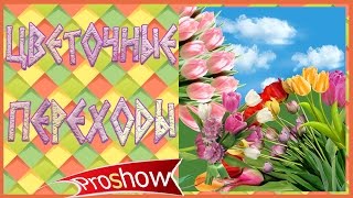 Цветочные переходы Free Floral Transitions Proshow Producer