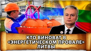 Литва нашла виновных в провале «энергетической независимости» | Белорусская АЭС | Великоросс
