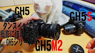 猫と開封 GH5M2 ダンスイベント撮影に強いカメラ ダンス撮影に使用中のカメラ紹介