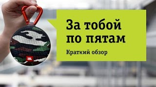 Акустическая система Bluetooth JBL Clip 2 Squad - Обзор. Размер – это не главное.