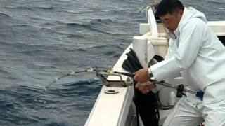 大物釣りin与那国 カンパチ45kg！  Team立釣魂
