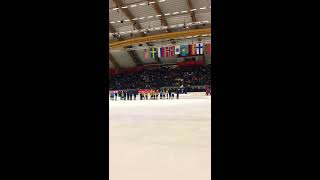 Sverige världsmästare i bandy 2017