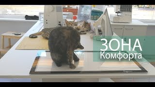 Стол Комфорт: Удобство подъемных механизмов